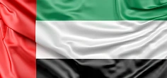 Flag of Dubai